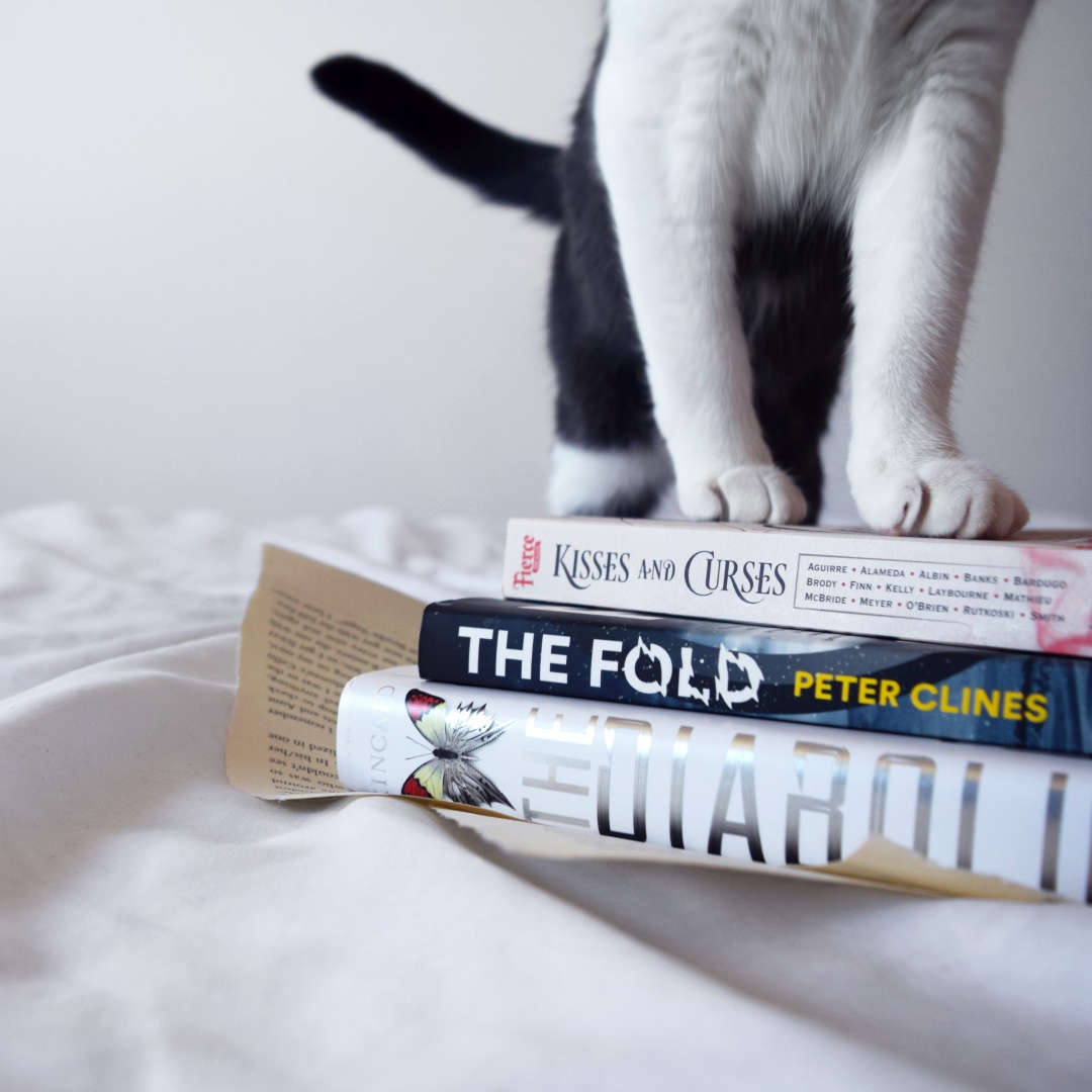 Luci can climb on books, but she preferred naps on the top shelf